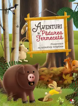 Aventuri in Padurea Fermecata