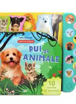 Bebe invata. Pui de animale. Carte cu sunete