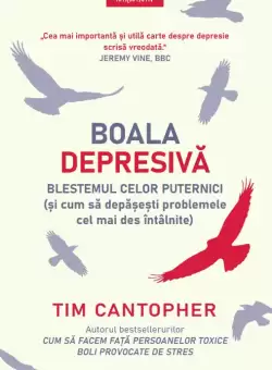 Boala depresiva. Blestemul celor puternici (si cum sa depasesti problemele cele mai des intalnite)