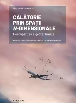Calatorie prin spatii n-dimensionale. Descoperirea algebrei liniare