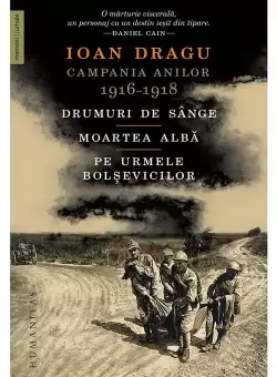 Campania anilor 1916-1918