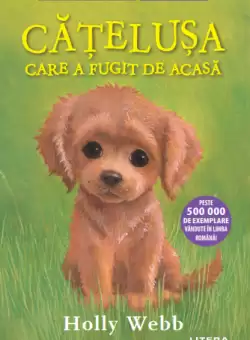 Catelusa care a fugit de acasa (Nivelul 6)