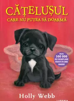 Catelusul care nu putea sa doarma (Nivelul 6)