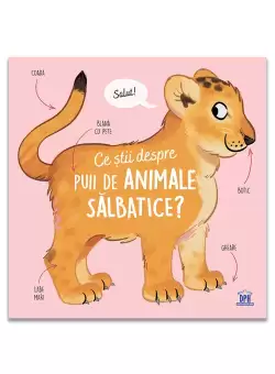 Ce stii despre puii de animale salbatice?