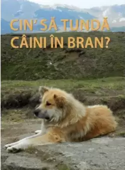 Cin' sa tunda caini in Bran? | Stelian Turlea