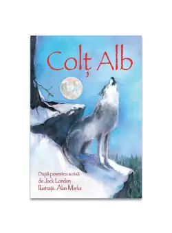 Colt Alb