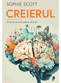 CREIERUL. 10 lucruri pe care trebuie sa le stii