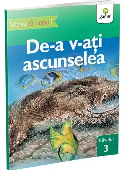 De-a v-ati ascunselea • nivelul 3