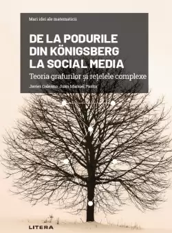 De la Podurile din Königsberg la social media. Teoria grafurilor si retelele complexe