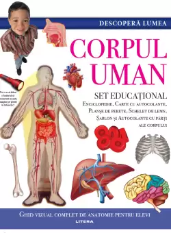 Descopera lumea. Corpul uman