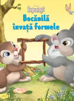 Disney Iepurasi. Bocanila invata formele
