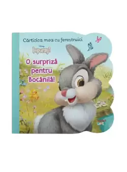 Disney Iepurasi. Carticica mea cu ferestruici. O surpriza pentru Bocanila