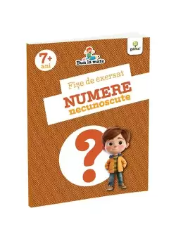 Fise de exersat NUMERE NECUNOSCUTE
