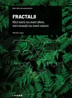 Fractalii. Nici norii nu sunt sfere, nici muntii nu sunt conuri