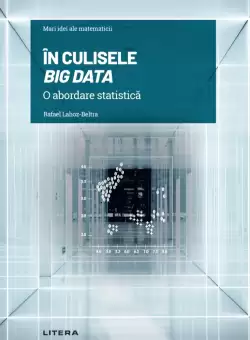 In culisele Big Data. O abordare statistica