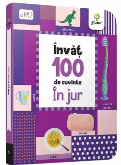 Invat 100 de cuvinte - In jur