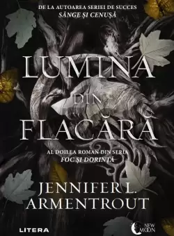 Lumina din flacara