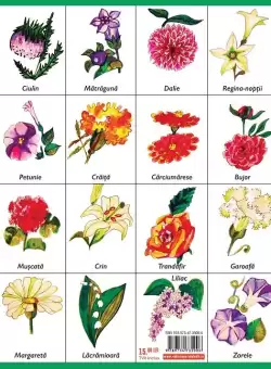 Luna-Betiluna, Dora-Minodora si gradina | Anamaria Smigelschi