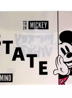 Mapa plastic A4 cu buton gimnaziu Mickey