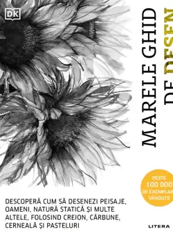 Marele ghid de desen