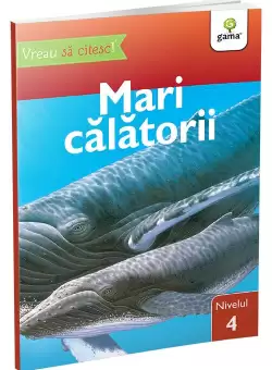 Mari calatorii • nivelul 4