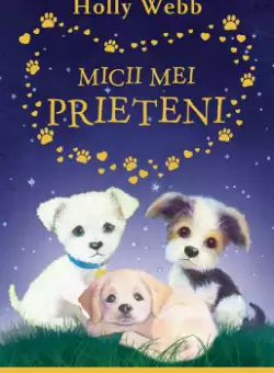 Micii mei prieteni