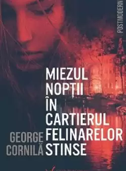Miezul noptii in cartierul felinarelor stinse | George Cornila