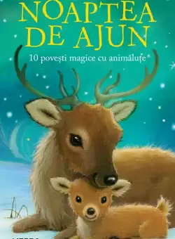 Noaptea de Ajun. 10 povesti magice cu animalute