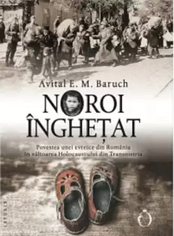 Noroi inghetat | Avital E. M. Baruch