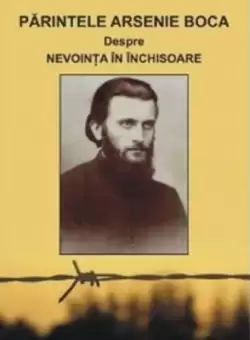 Parintele Arsenie Boca. Minuni si marturii | Romeo Petrasciuc