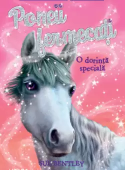 Poneii fermecati. O dorinta speciala (Nivelul 6)