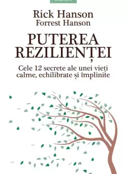 Puterea rezilientei. Cele 12 secrete ale unei vieti calme, echilibrate si implinite