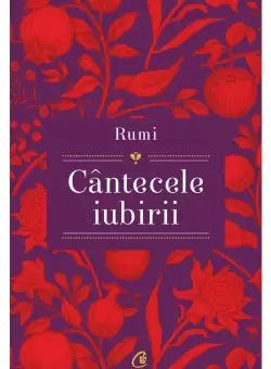 Rumi - Cantecele iubirii