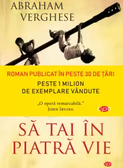 Sa tai in piatra vie