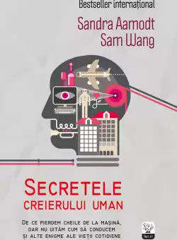 Secretele creierului uman