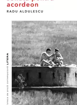 Sonata pentru acordeon