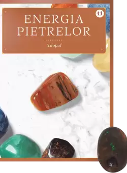 Xilopal. Volumul 41. Energia pietrelor